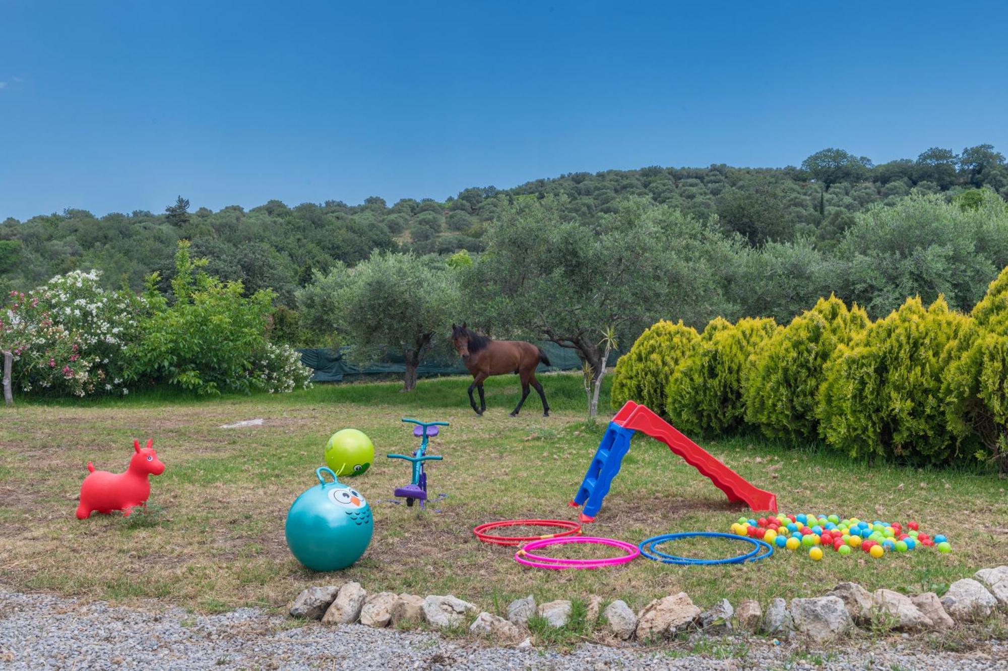 Elarchon Villa Private Pool Episkopi-Chania المظهر الخارجي الصورة